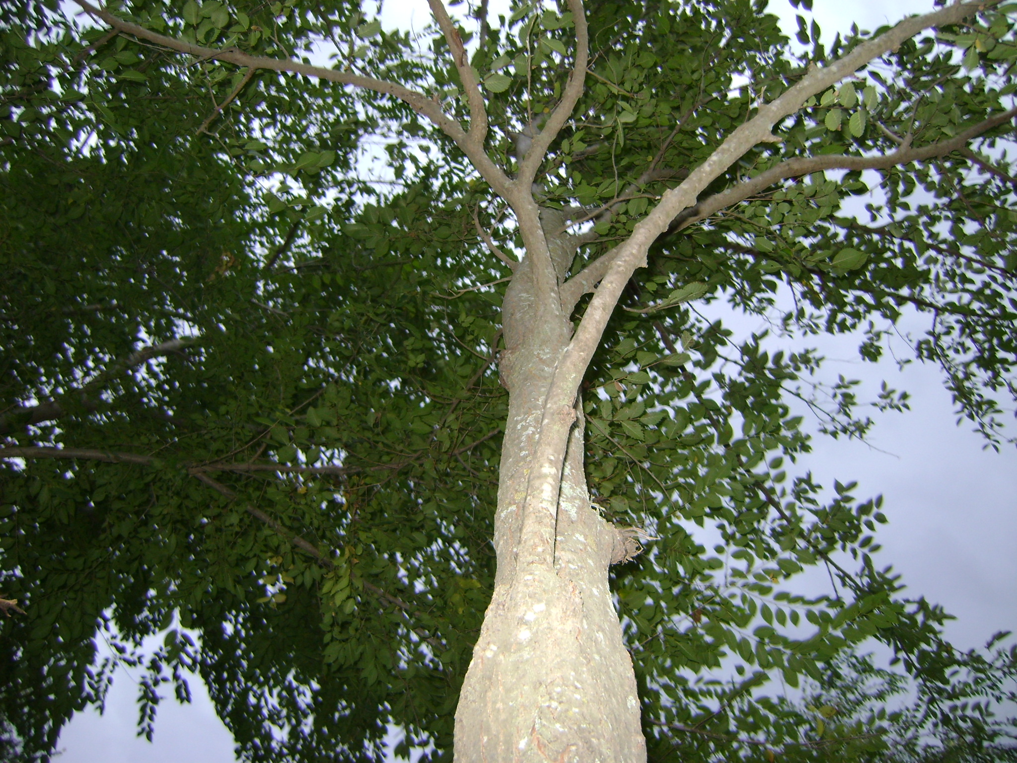 fotos/2011 - Los Reartes/DSC03290.JPG